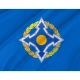 Collective Security Treaty Organization Flag - Imagine 2