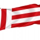 Eindhoven Flag for Indoor & Outdoor Use - Imagine 1