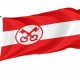 Leiden Flag for Indoor & Outdoor Use - Imagine 1