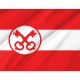 Leiden Flag for Indoor & Outdoor Use - Imagine 2