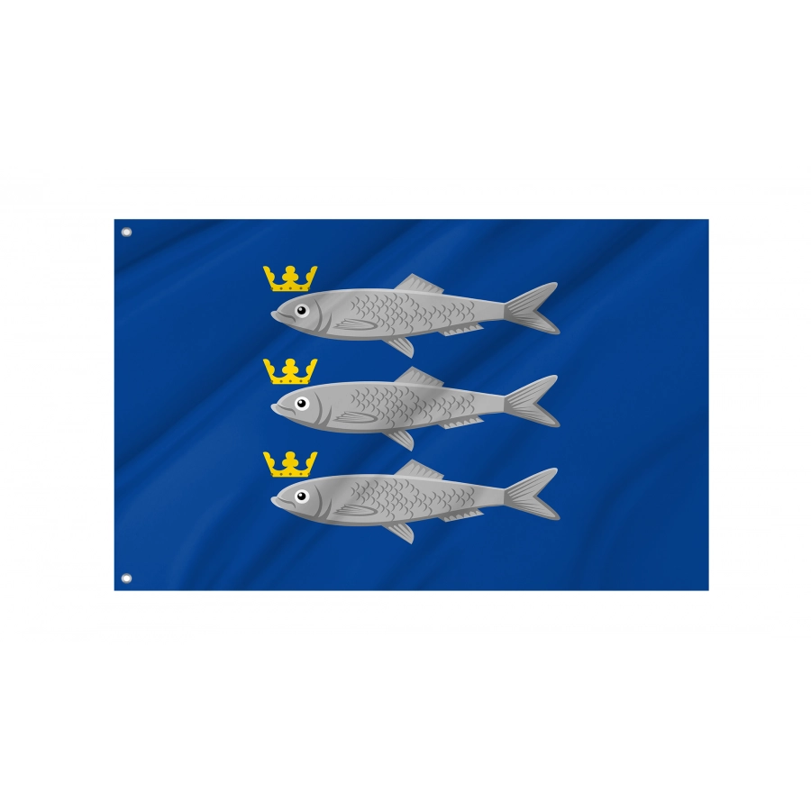 Flag of Scheveningen, Patriotic Flags, Unique Design Print, Flags for Indoor & Outdoor Use