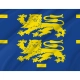 West Friesland Flag for Indoor & Outdoor Use - Imagine 2