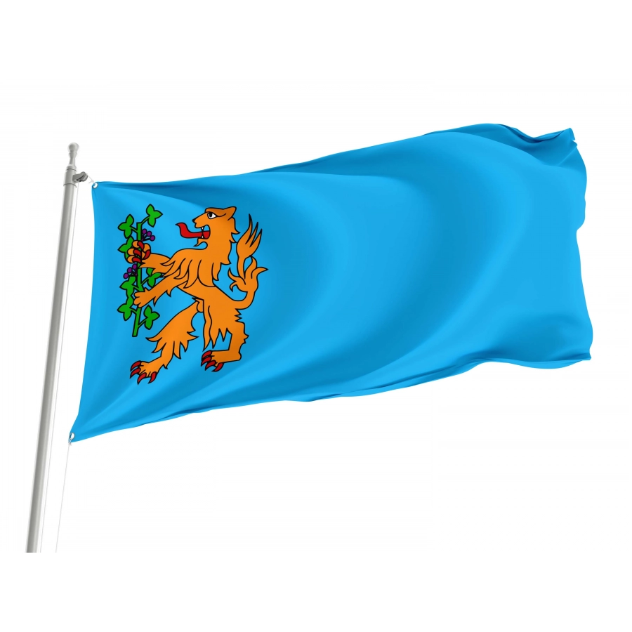 Brummen Flag for Indoor & Outdoor Use, NLD153