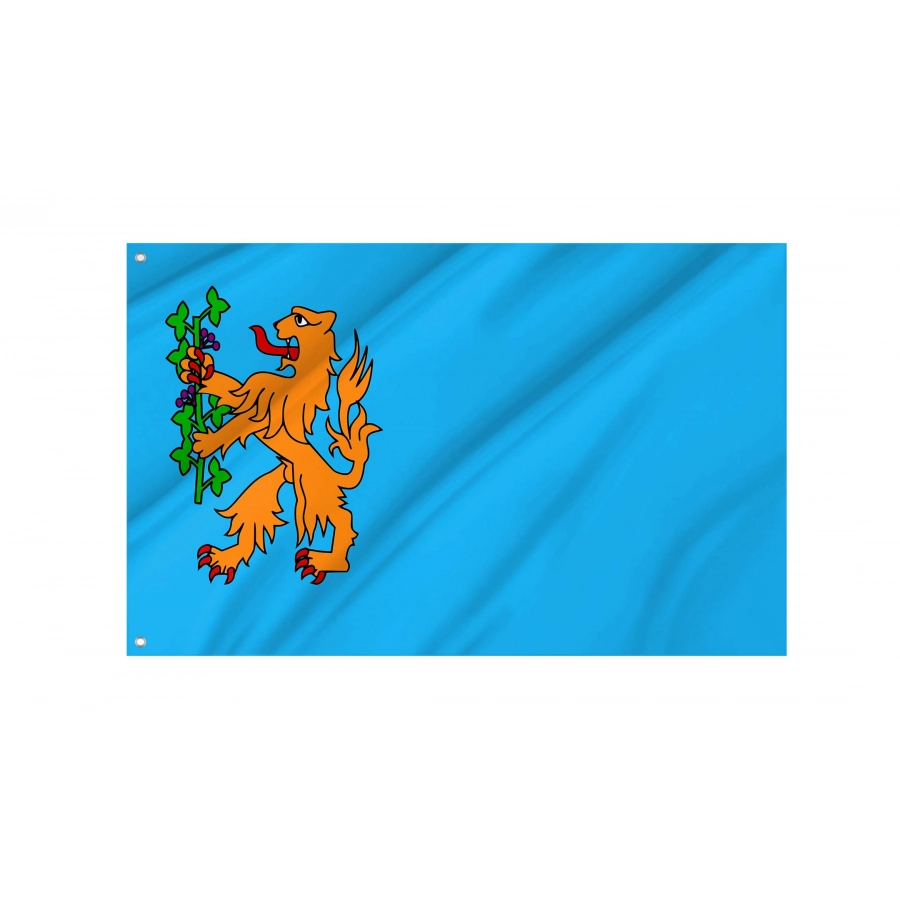 Brummen Flag for Indoor & Outdoor Use, NLD153