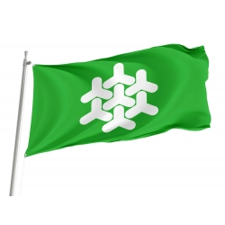 Dronten Flag for Indoor & Outdoor Use