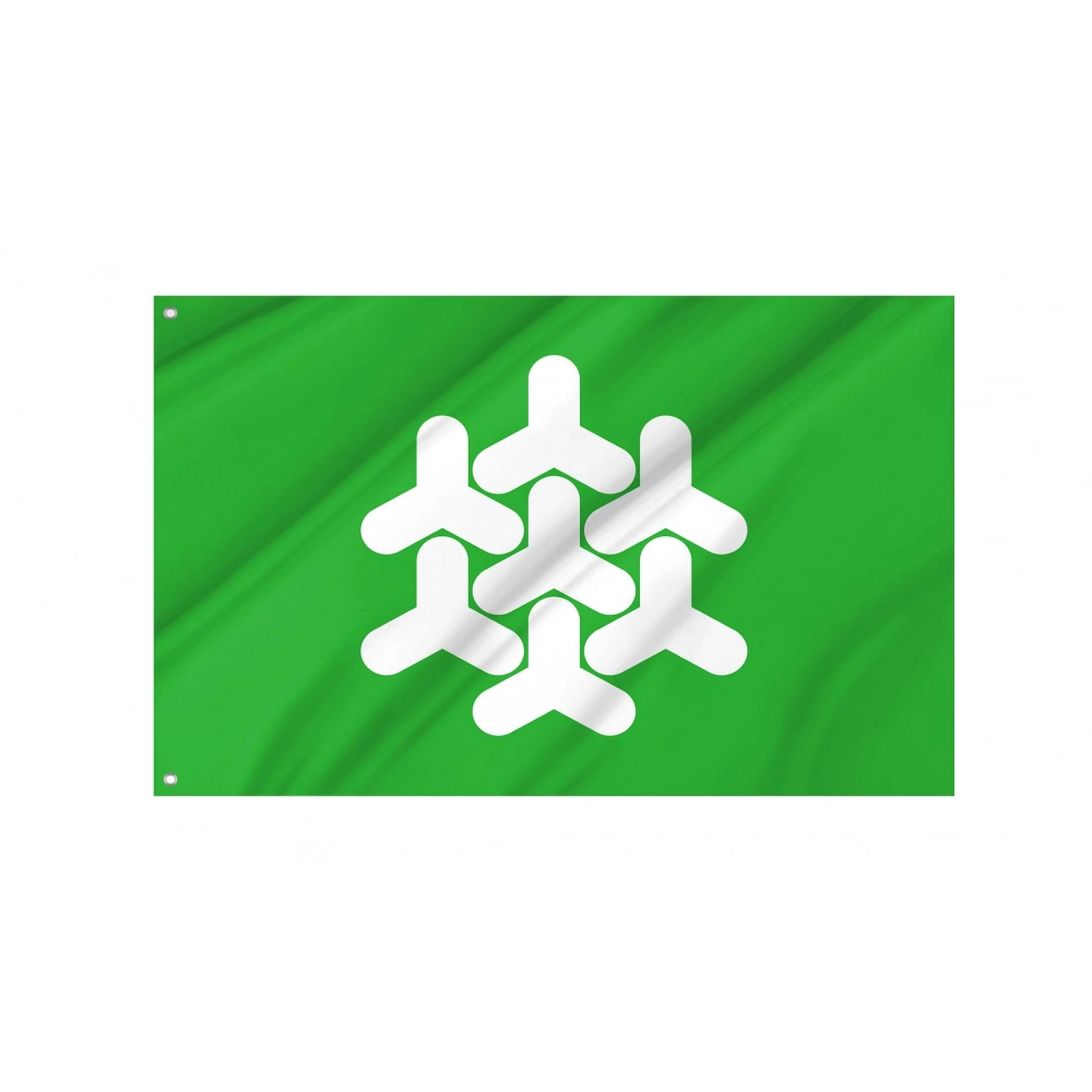 Dronten Flag for Indoor & Outdoor Use