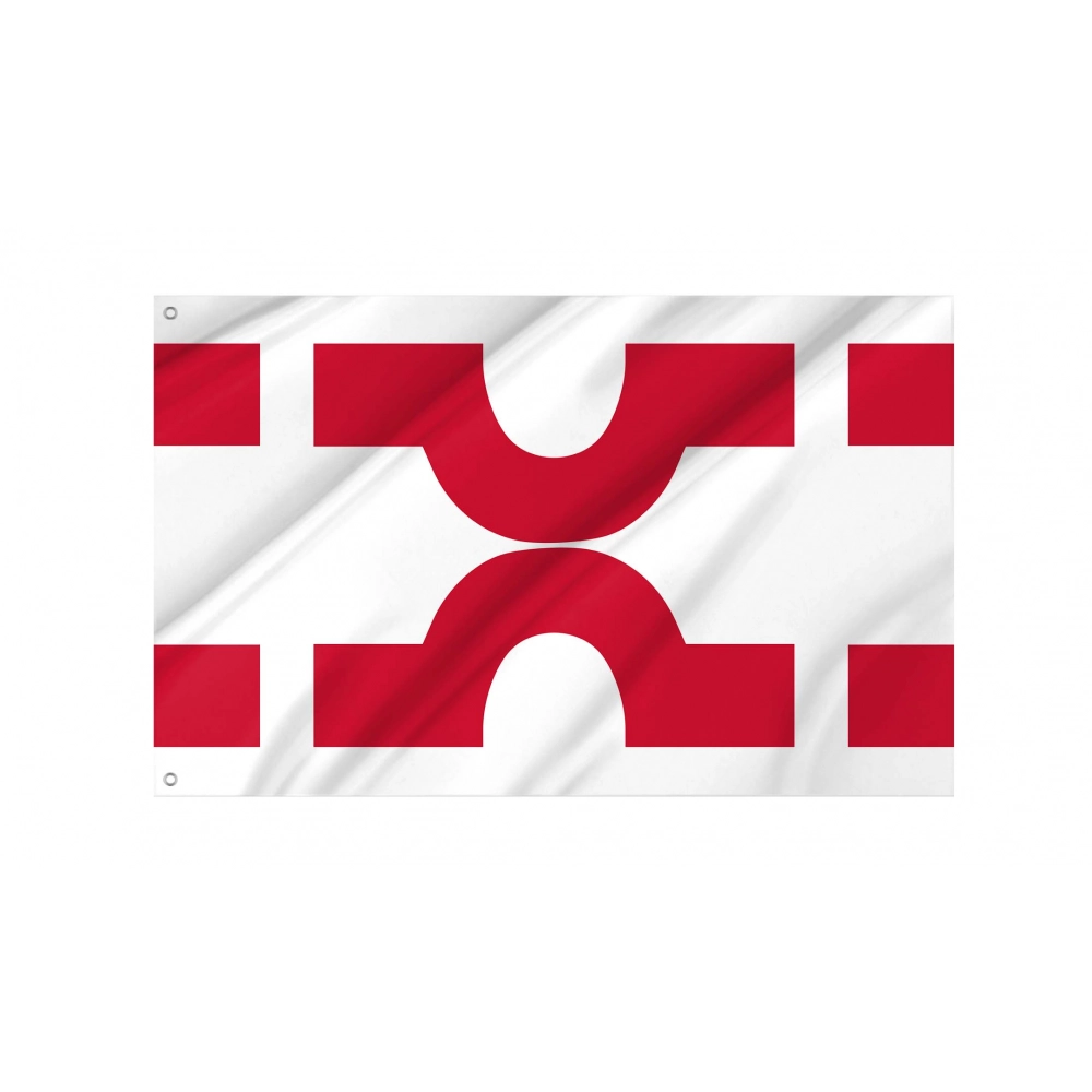 Losser Flag for Indoor & Outdoor Use