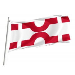 Losser Flag for Indoor & Outdoor Use