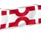 Losser Flag for Indoor & Outdoor Use - Imagine 1