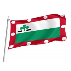 Meppel Flag for Indoor & Outdoor Use