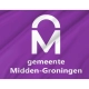 Midden-Groningen Flag for Indoor & Outdoor Use - Imagine 2