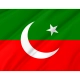Pakistan Tehreek-e-Insaf Flag for Indoor & Outdoor Use - Imagine 2