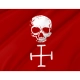 Florida Straits Pirates Flag for Indoor & Outdoor Use - Imagine 2