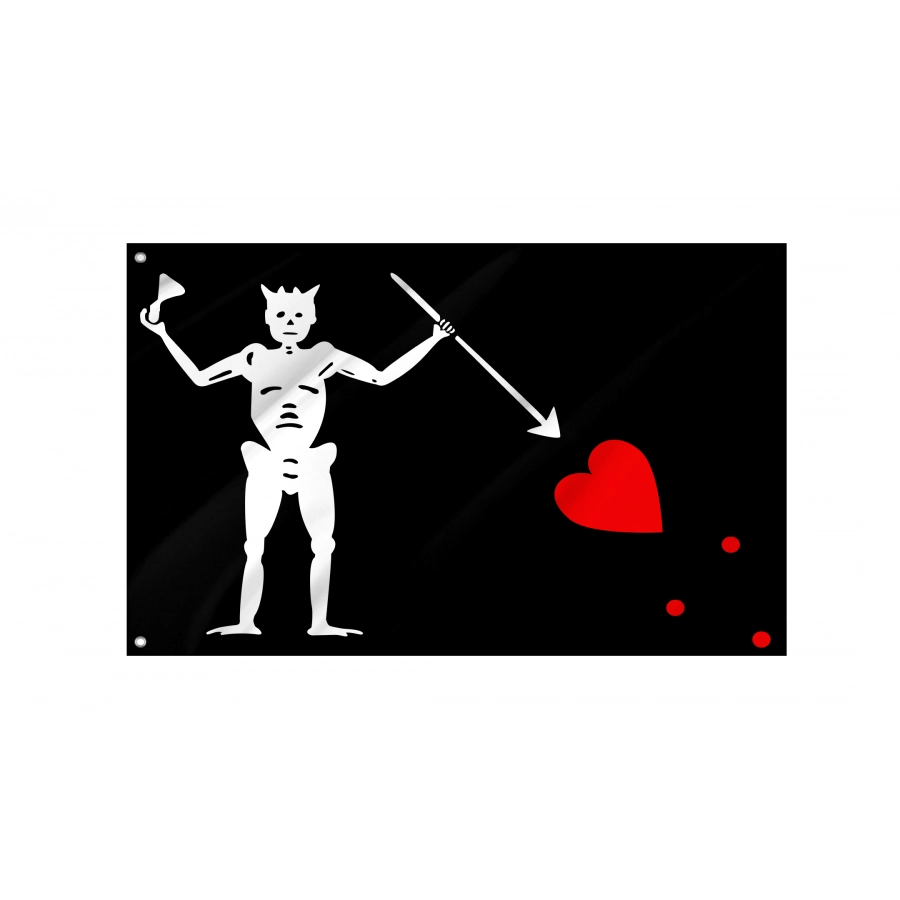 Pirate Flag of Blackbeard (Edward Teach), Unique Design Print, Flags for Indoor & Outdoor Use