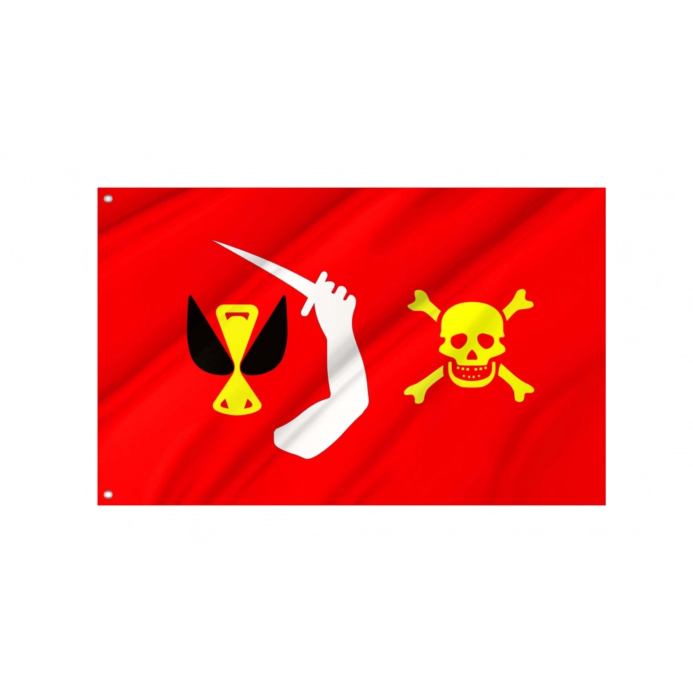 Christopher Moody Pirate Flag for Indoor & Outdoor Use