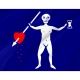 Jolly Roger pirate flag of Charles Harris for Indoor & Outdoor Use - Imagine 2
