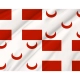 Maltese Corsairs Flag - Imagine 2