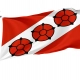 Brzeg Dolny Flag for Indoor & Outdoor Use - Imagine 1