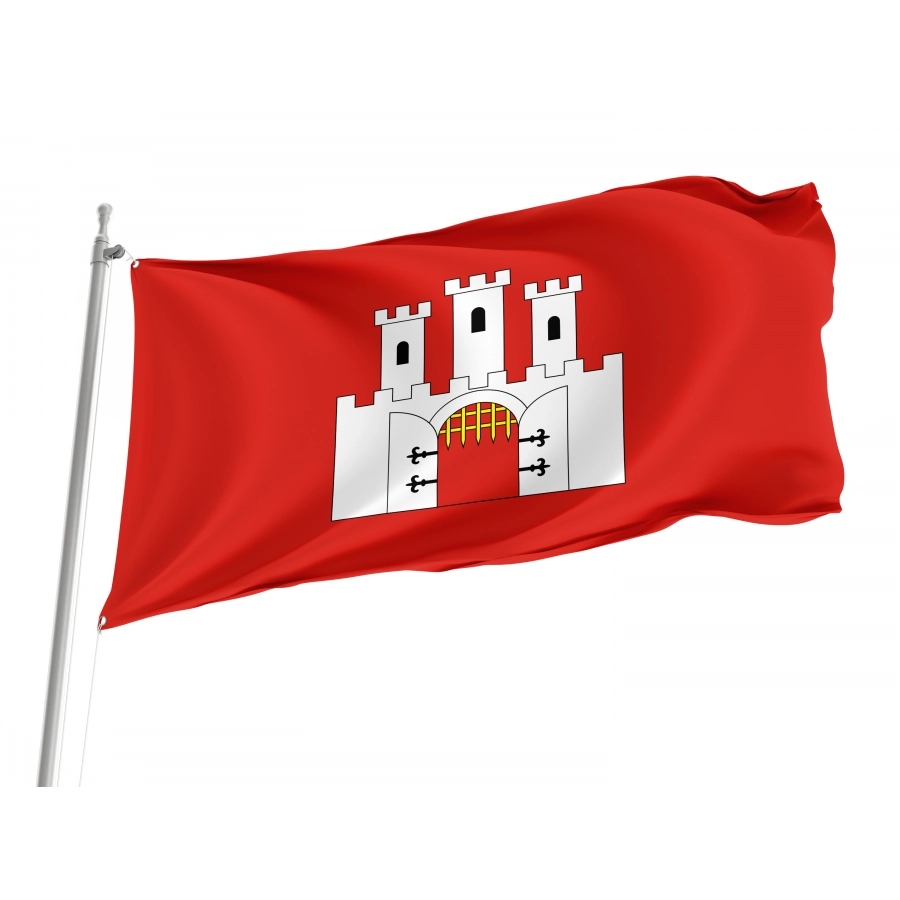 Flag Of Checiny, Patriotic Flags, Unique Design Print, Flags For Indoor & Outdoor Use - High Quality Poland for Indoor and Outdoor Use
