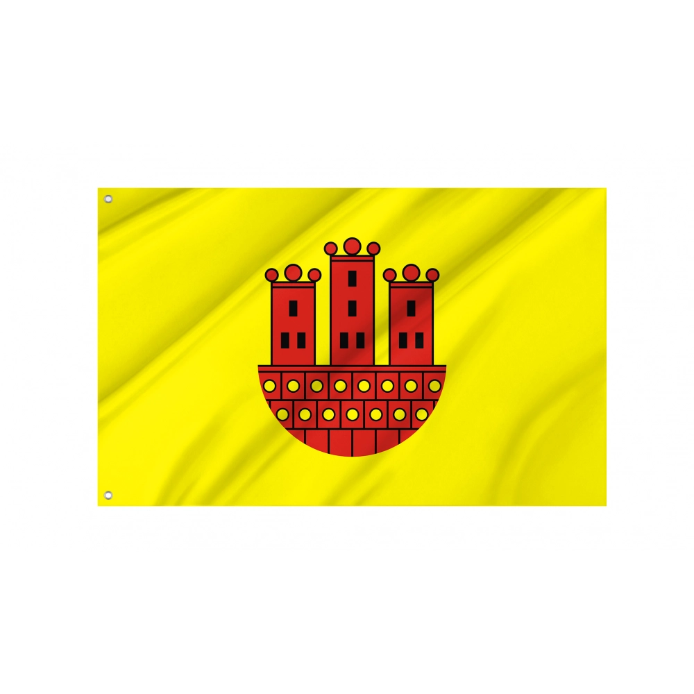 Dzialoszyn Flag for Indoor & Outdoor Use