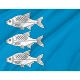 Gizycko Flag for Indoor & Outdoor Use - Imagine 2