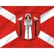 Golub Dobrzyn Flag for Indoor & Outdoor Use - Imagine 2