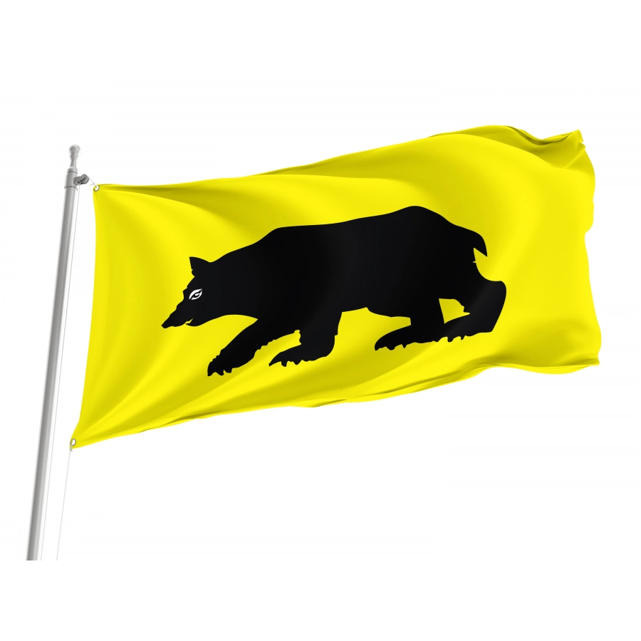 Flag Of Goniadz, Patriotic Flags, Unique Design Print, Flags For Indoor & Outdoor Use - High Quality Poland for Indoor and Outdoor Use