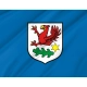 Gryfino Flag for Indoor & Outdoor Use - Imagine 2