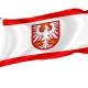 Kcynia Flag for Indoor & Outdoor Use - Imagine 1
