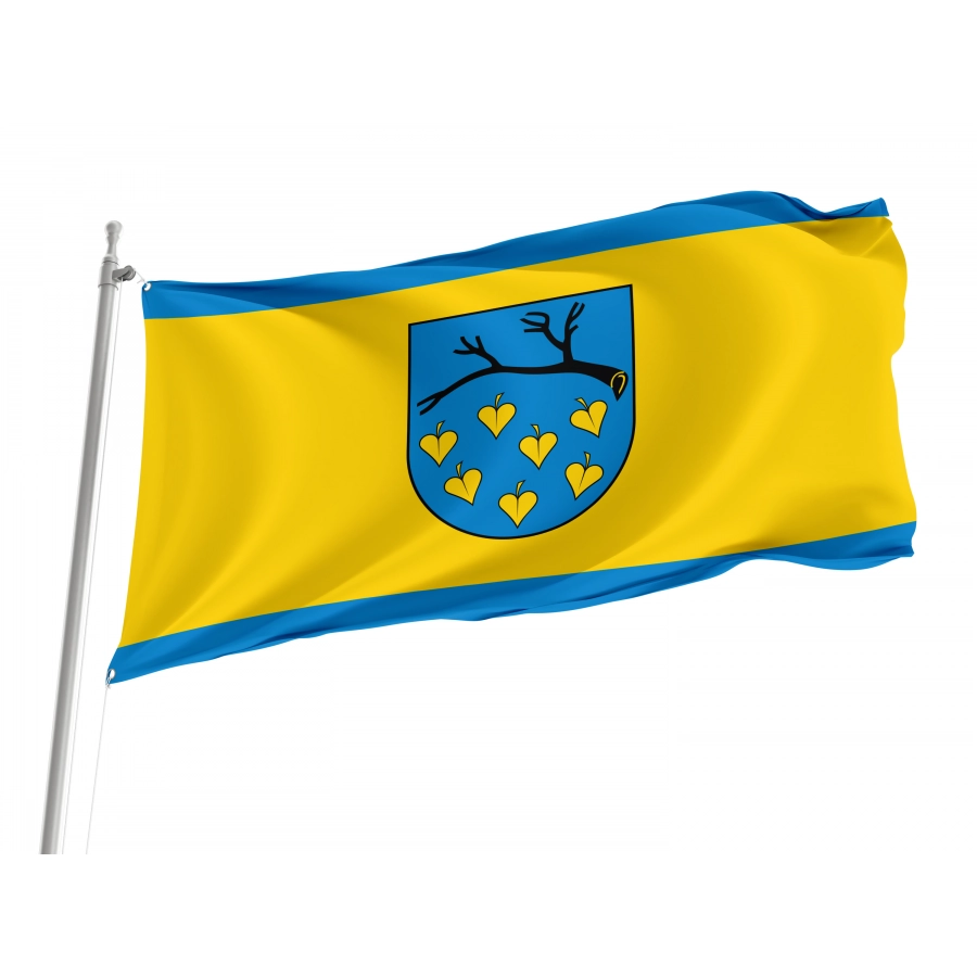 Flag Of Laziska Gorne, Patriotic Flags, Unique Design Print, Flags For Indoor & Outdoor Use - High Quality Poland for Indoor and Outdoor Use