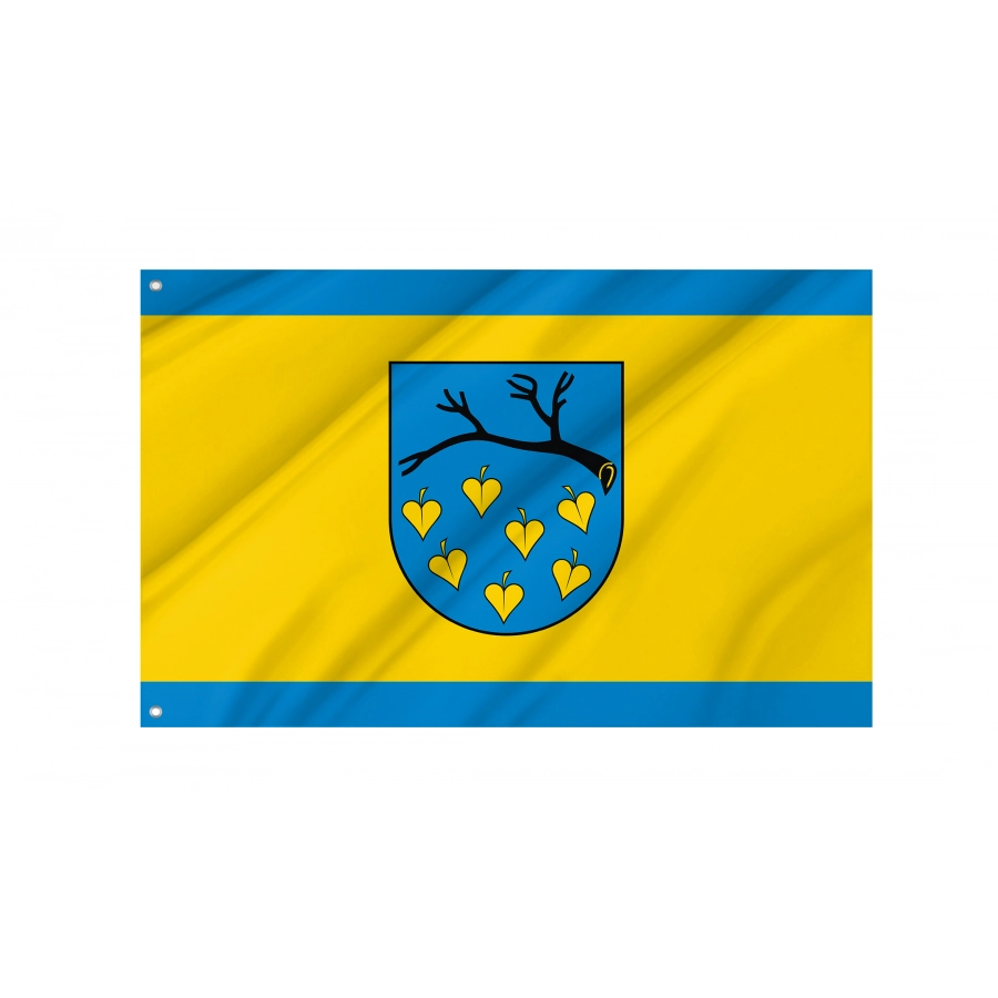 Flag Of Laziska Gorne, Patriotic Flags, Unique Design Print, Flags For Indoor & Outdoor Use - High Quality Poland for Indoor and Outdoor Use