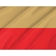 Leszno Flag for Indoor & Outdoor Use - Imagine 2