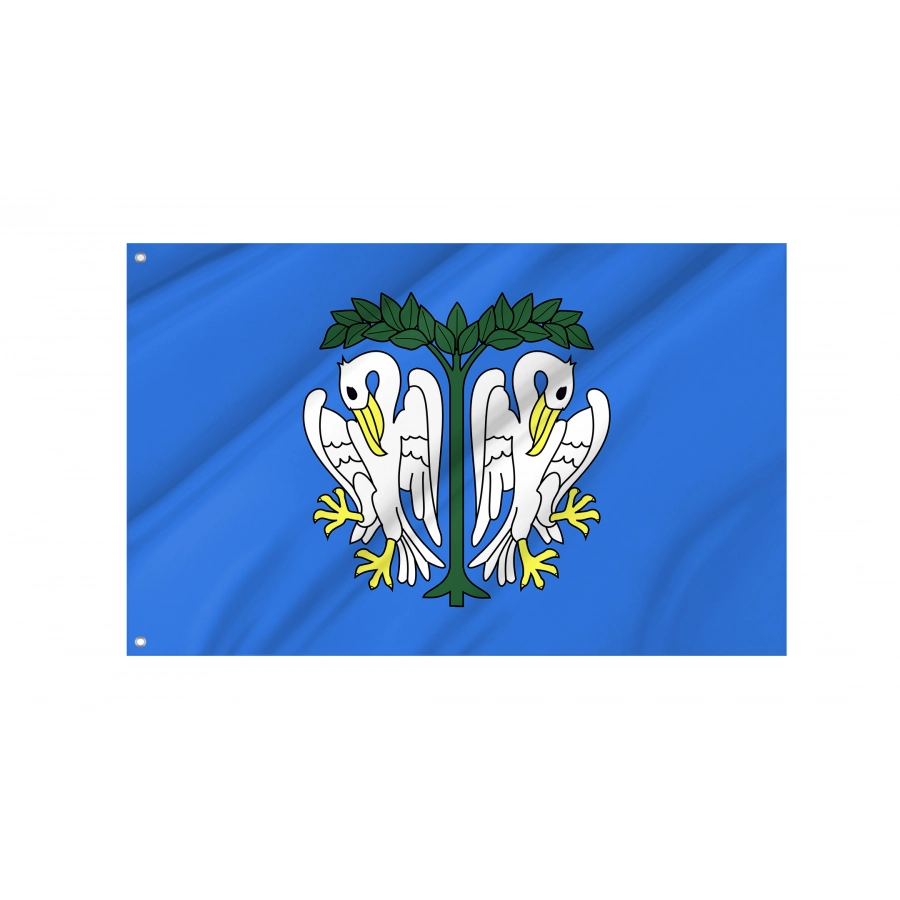 Flag Of Lowicz, Patriotic Flags, Unique Design Print, Flags For Indoor & Outdoor Use - High Quality Poland for Indoor and Outdoor Use