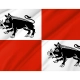 Mieroszow Flag for Indoor & Outdoor Use - Imagine 2