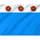 Nowy Dwor Gdanski Flag for Indoor & Outdoor Use - Imagine 2
