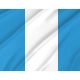 Pasym Flag for Indoor & Outdoor Use - Imagine 2