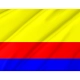 Plock Flag for Indoor & Outdoor Use - Imagine 2