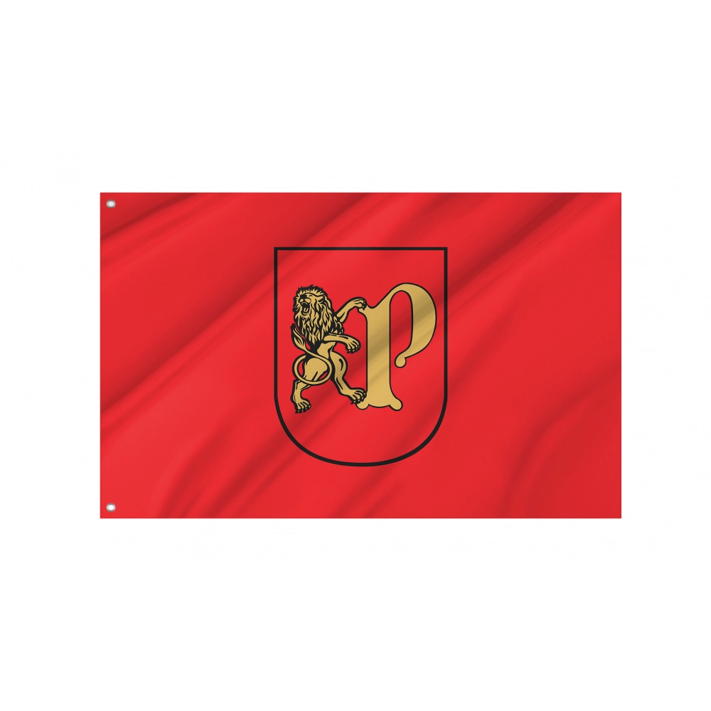 Pruszcz Gdanski Flag for Indoor & Outdoor Use