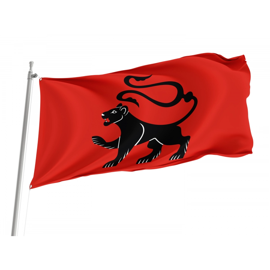 Flag Of Radlow, Patriotic Flags, Unique Design Print, Flags For Indoor & Outdoor Use - High Quality Poland for Indoor and Outdoor Use