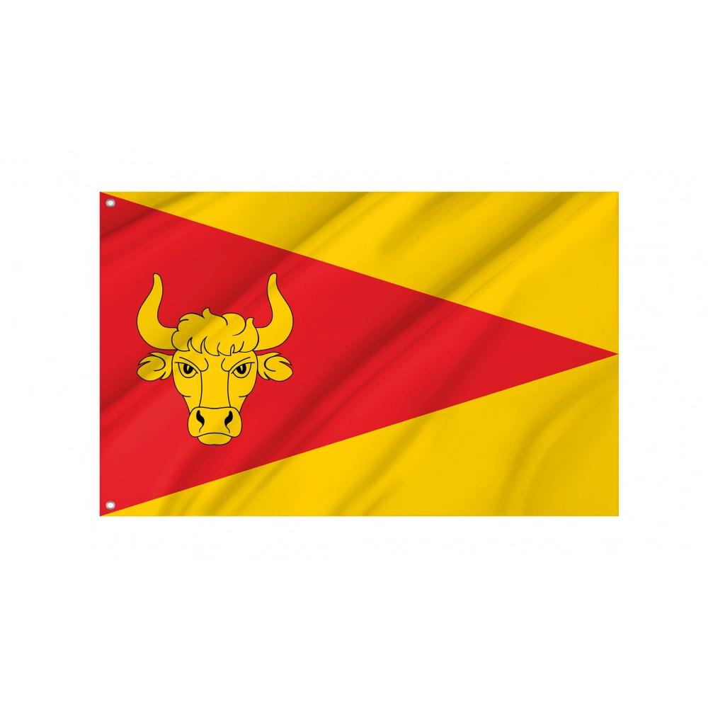 Tykocin Flag for Indoor & Outdoor Use