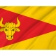 Tykocin Flag for Indoor & Outdoor Use - Imagine 2