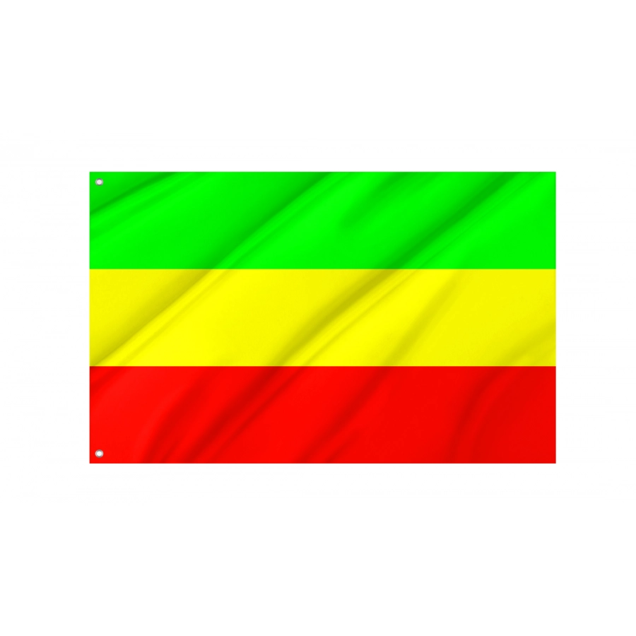 Flag Of Witnica, Patriotic Flags, Unique Design Print, Flags For Indoor & Outdoor Use - High Quality Poland for Indoor and Outdoor Use