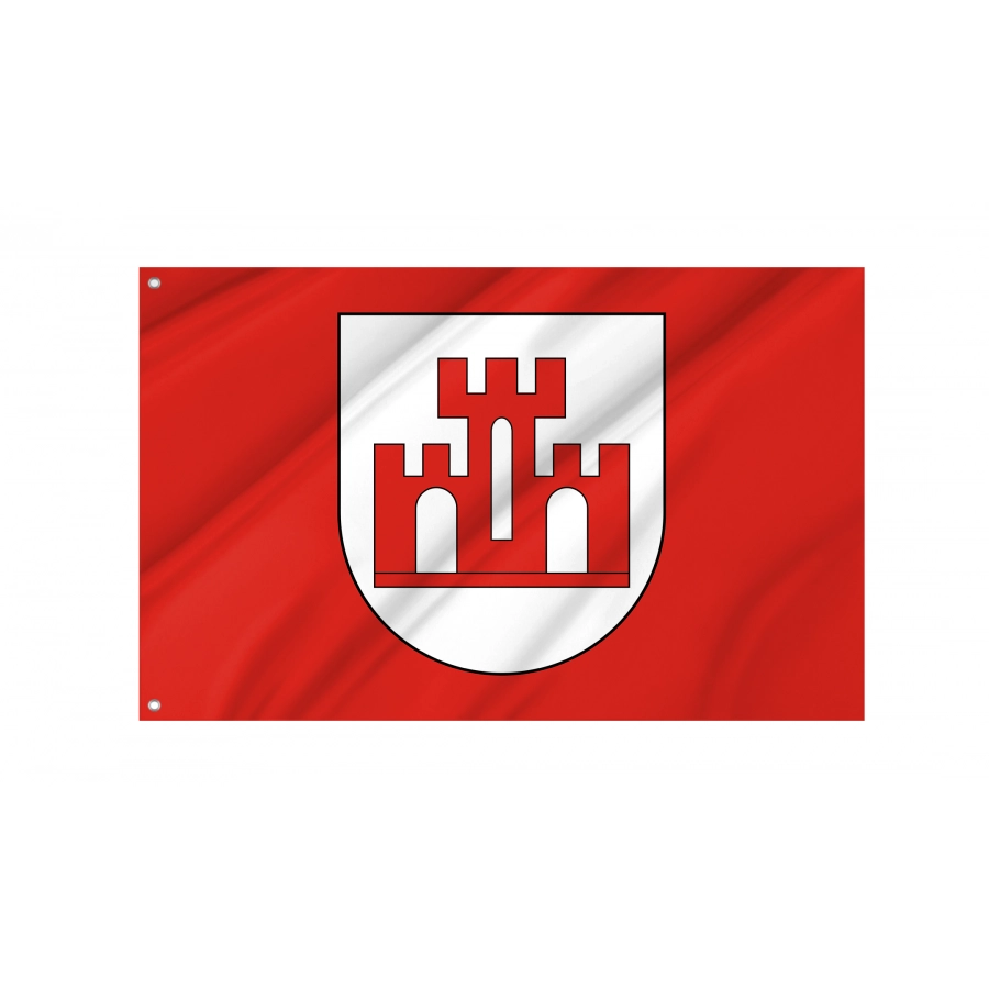 Flag Of Zychlin, Patriotic Flags, Unique Design Print, Flags For Indoor & Outdoor Use - High Quality Poland for Indoor and Outdoor Use