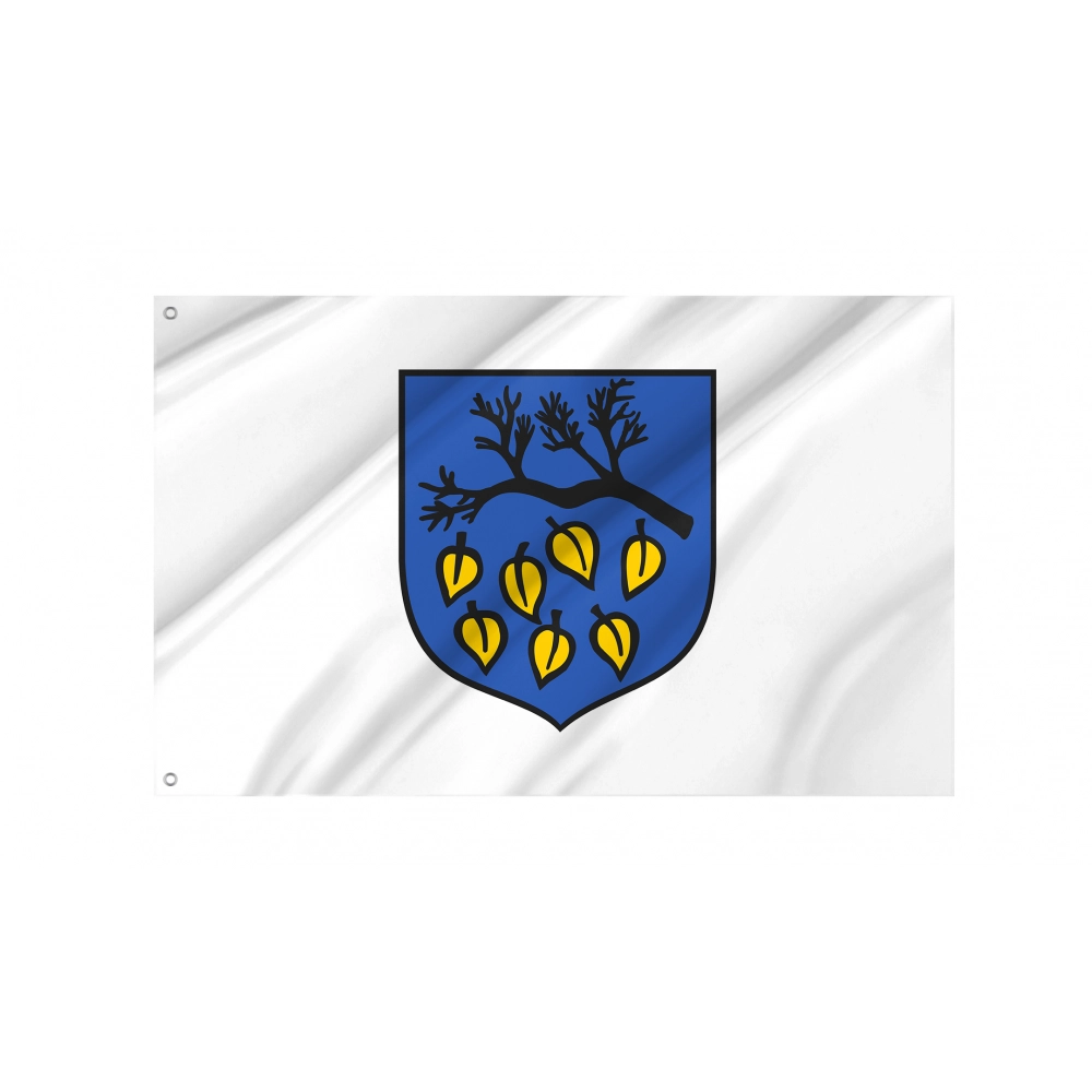 Laziska Gorne Flag for Indoor & Outdoor Use