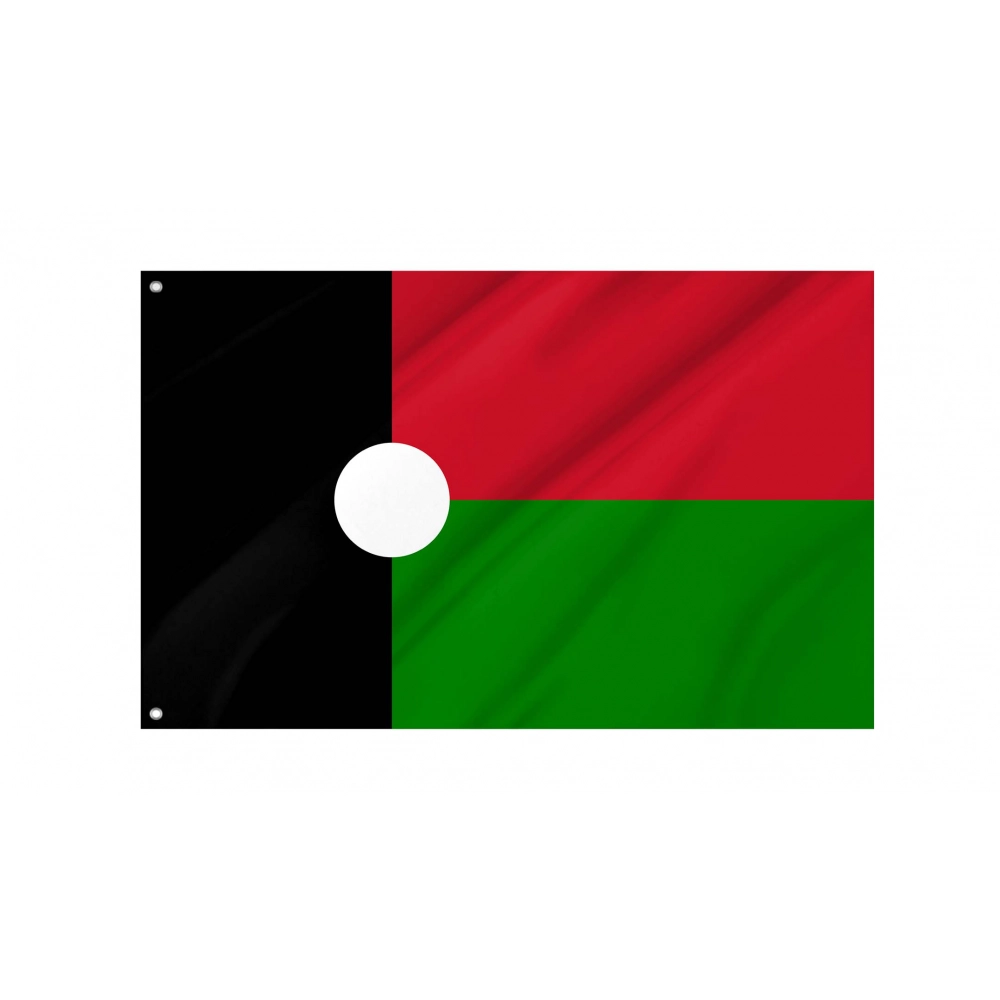 Partido Renovador Social Flag for Indoor & Outdoor Use