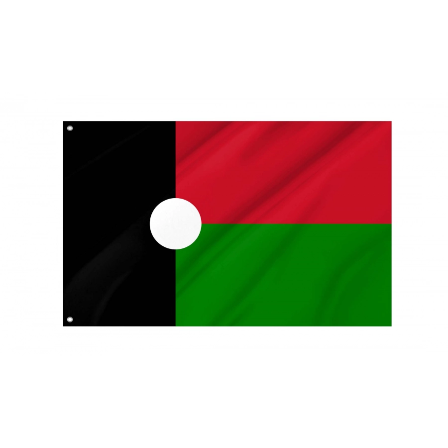 Partido Renovador Social Flag for Indoor & Outdoor Use, Political12