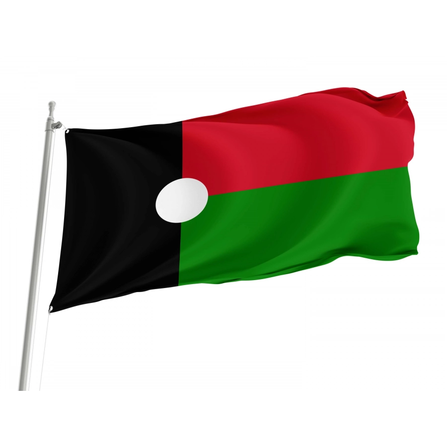 Partido Renovador Social Flag for Indoor & Outdoor Use, Political12