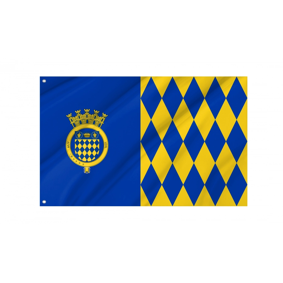 Flag Of Arecibo, Puerto Rico, Patriotic Flags, Unique Design Print, Flags For Indoor & Outdoor Use - High Quality Puerto Rico for Indoor and Outdoor Use