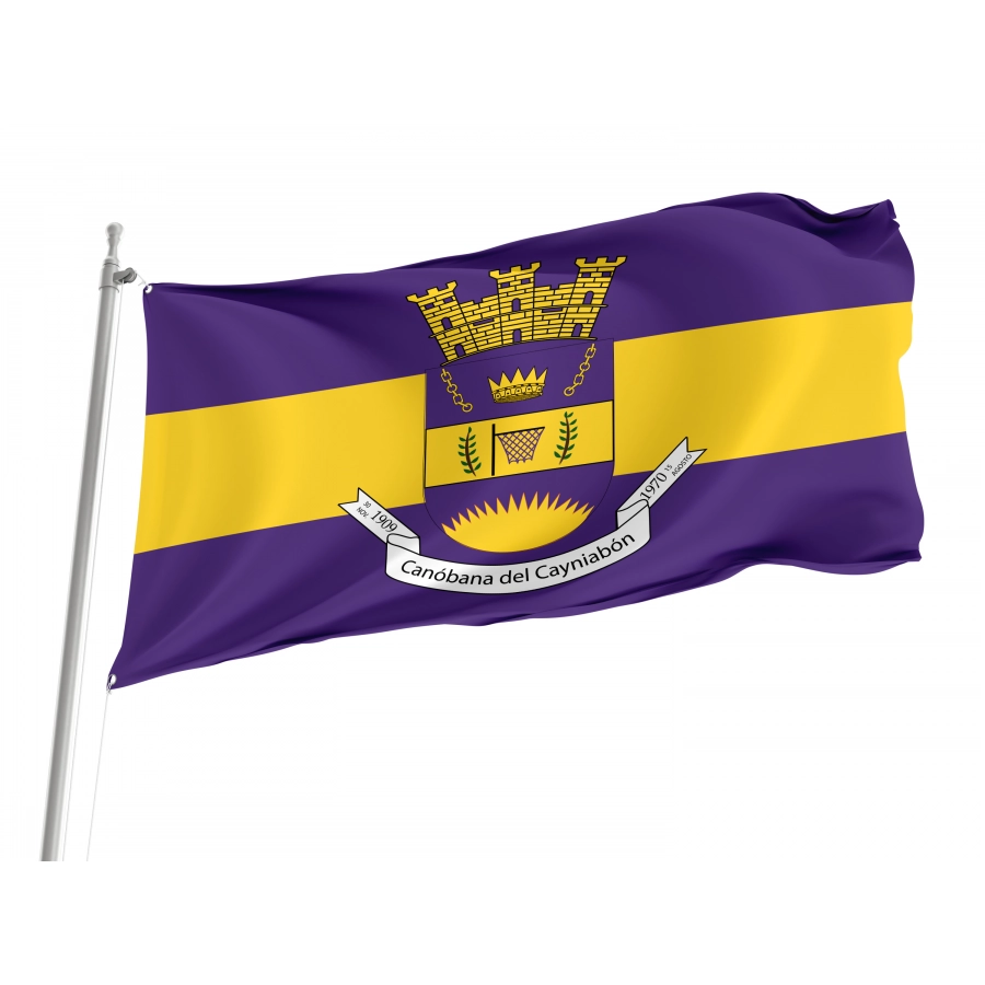 Flag Of Canóvanas, Puerto Rico, Patriotic Flags, Unique Design Print, Flags For Indoor & Outdoor Use - High Quality Puerto Rico for Indoor and Outdoor Use