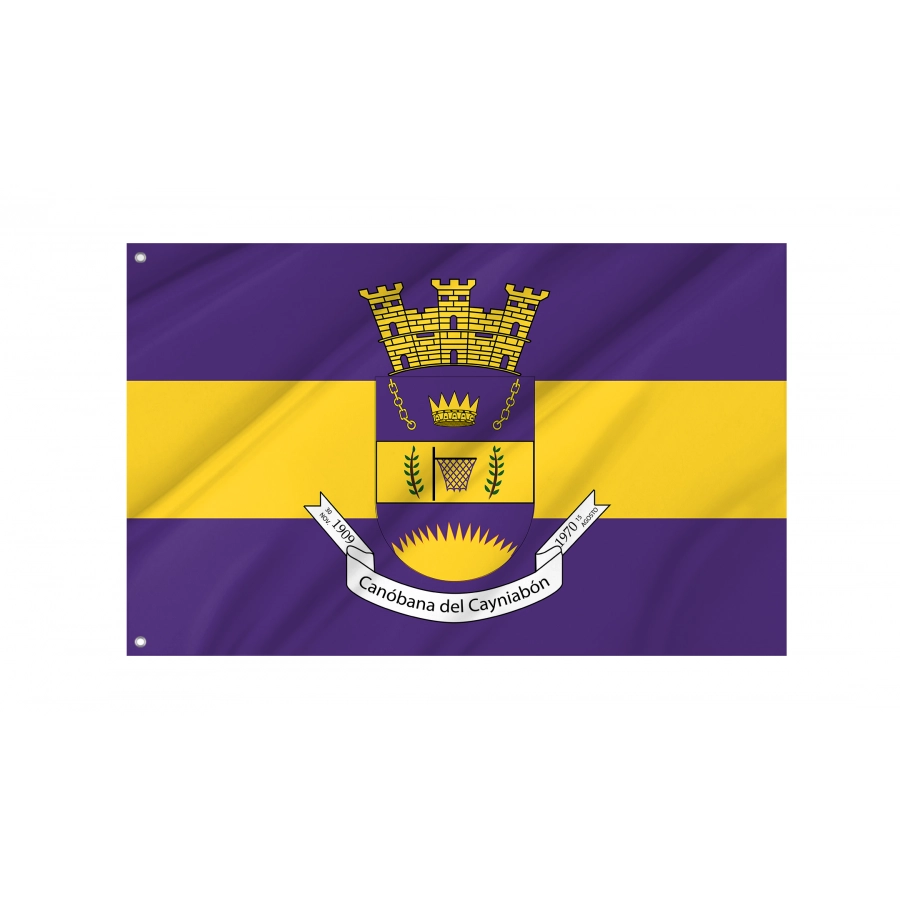 Flag Of Canóvanas, Puerto Rico, Patriotic Flags, Unique Design Print, Flags For Indoor & Outdoor Use - High Quality Puerto Rico for Indoor and Outdoor Use